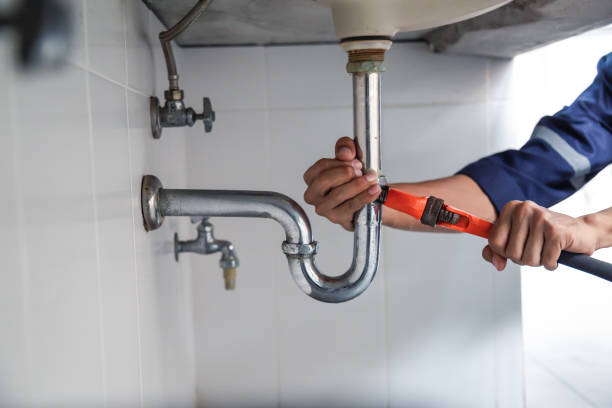 Best Clogged Drain Plumber  in Silver Firs, WA